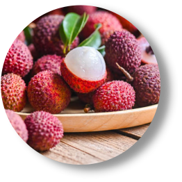 LITCHI