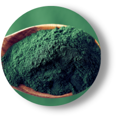 SPIRULINE
